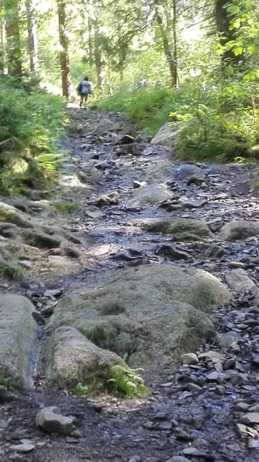 Harzlich Daire Altenau  Dış mekan fotoğraf
