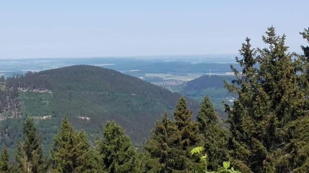 Harzlich Daire Altenau  Dış mekan fotoğraf